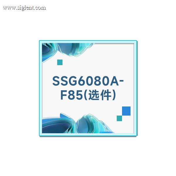 SSG6080A-F85